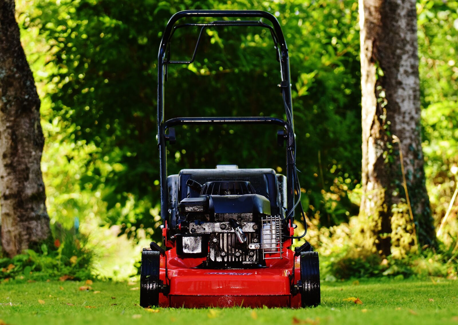 Nikon D7200 sample photo. Lawn mower, gardening, mow photography