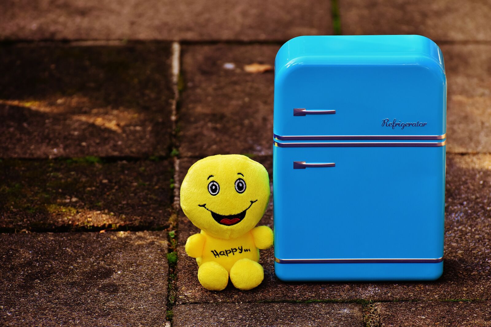 Nikon D7200 sample photo. Full fridge, happy, smiley photography