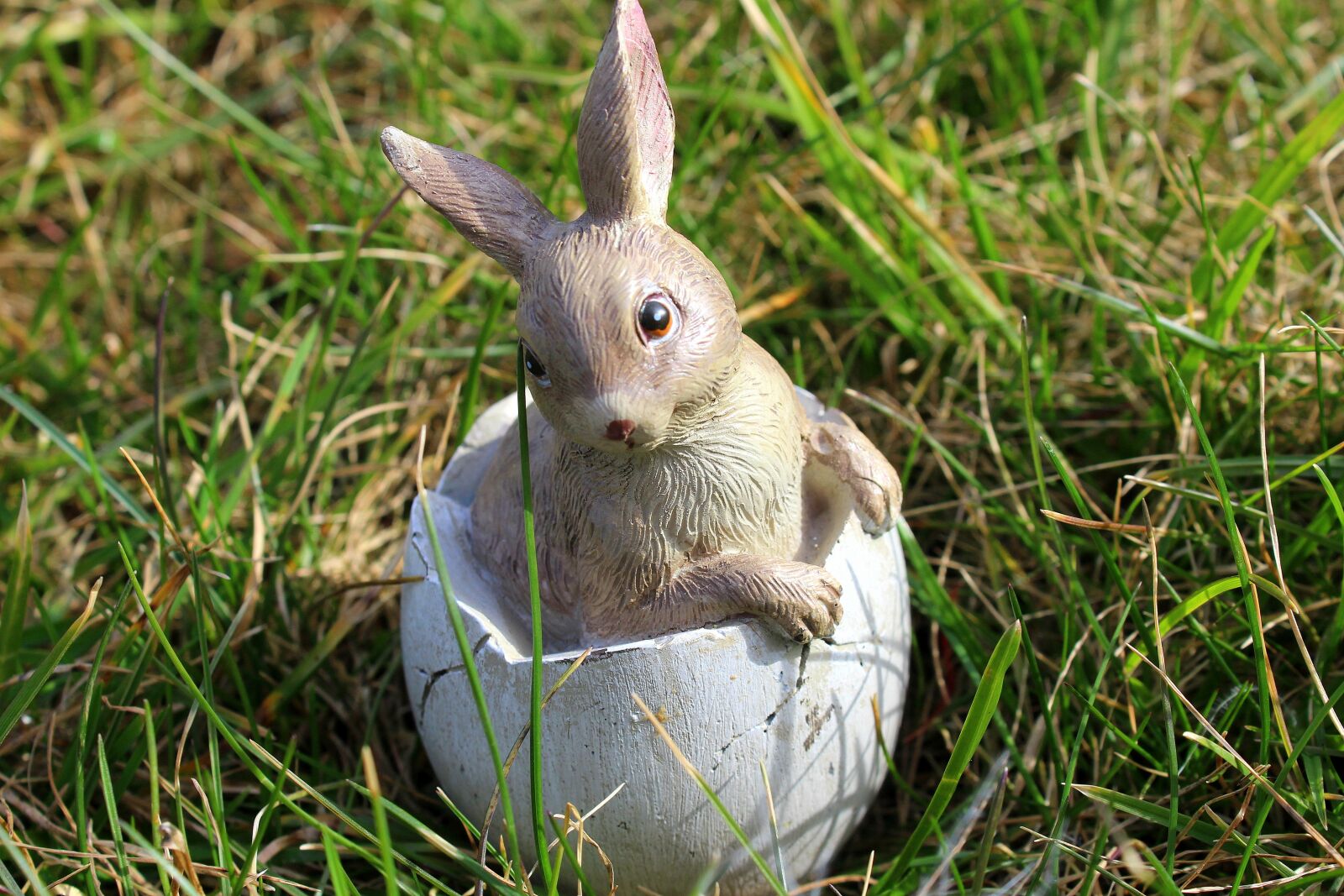 Canon EOS 1200D (EOS Rebel T5 / EOS Kiss X70 / EOS Hi) sample photo. Bunny, easter holidays, decoration photography