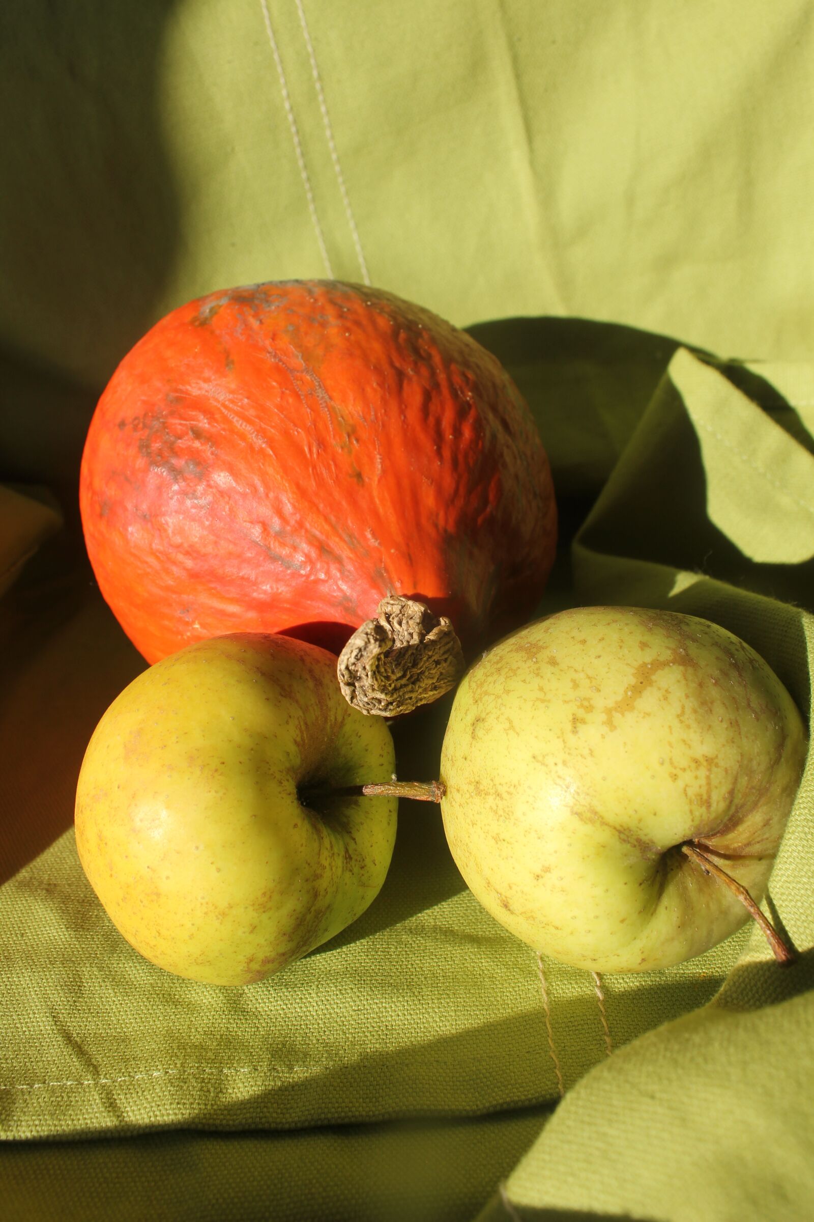 Canon EOS 550D (EOS Rebel T2i / EOS Kiss X4) sample photo. Pumpkin, apple, fruits photography