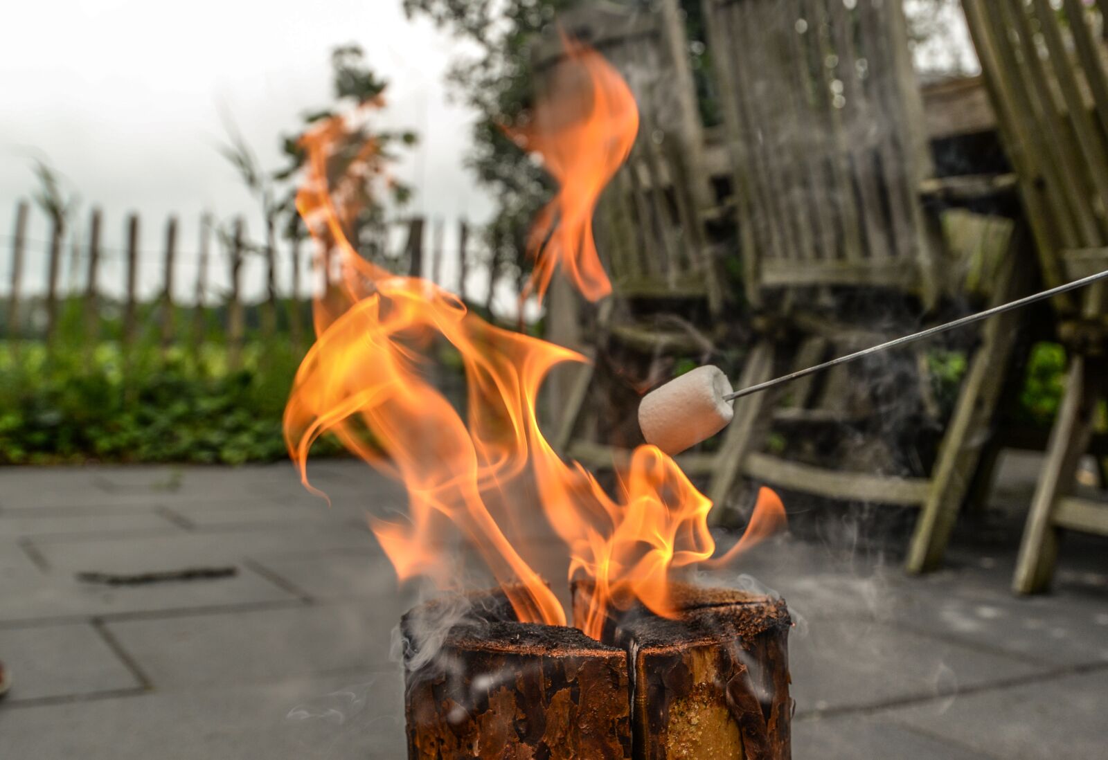 Nikon D610 sample photo. Marshmallow, fire, camp photography