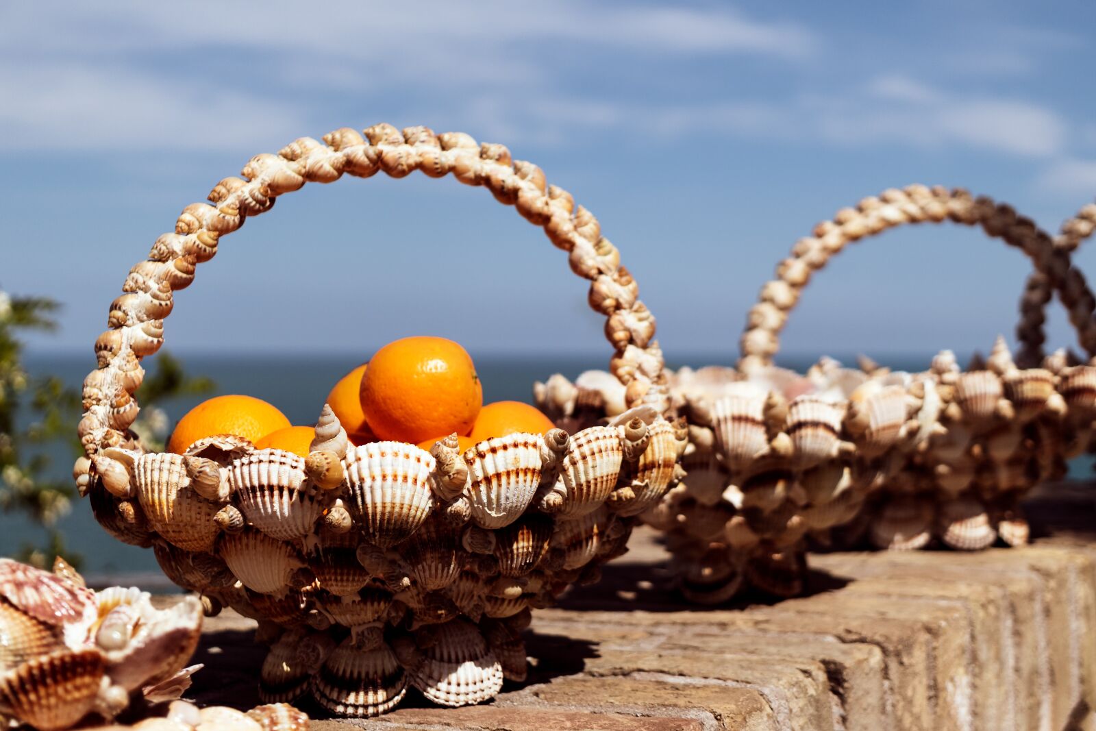 Canon EF-S 35mm F2.8 Macro IS STM sample photo. Basket, trash, orange photography