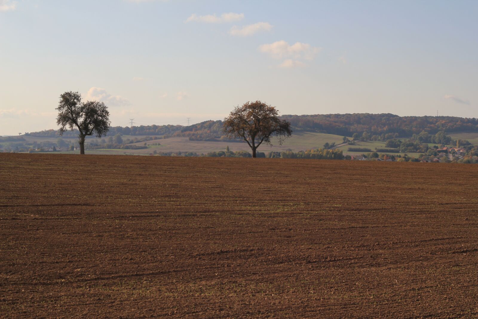 Canon EOS 550D (EOS Rebel T2i / EOS Kiss X4) sample photo. Landscape, fields, harvest photography