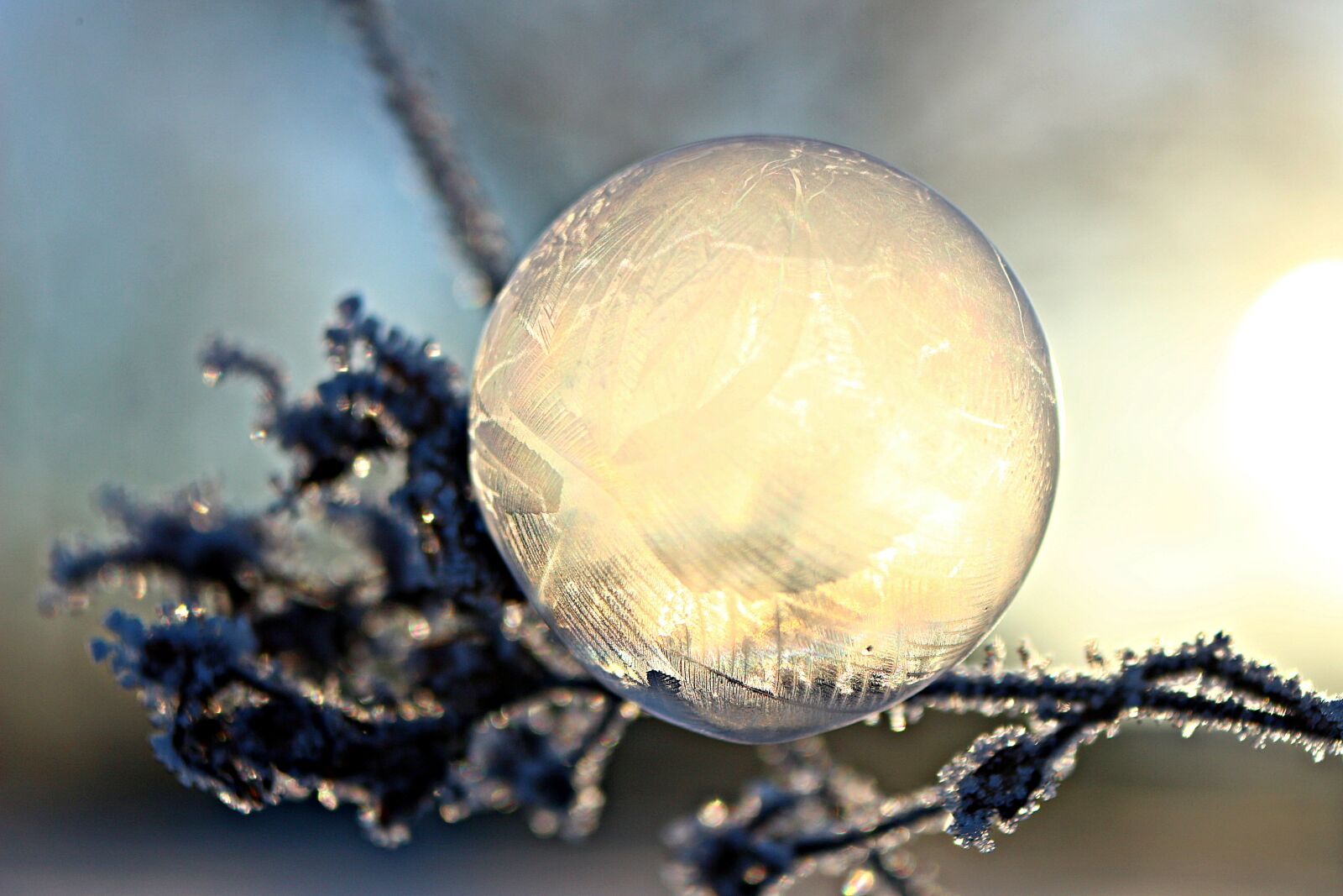 Canon EOS 100D (EOS Rebel SL1 / EOS Kiss X7) sample photo. Ice bubble, soap bubble photography