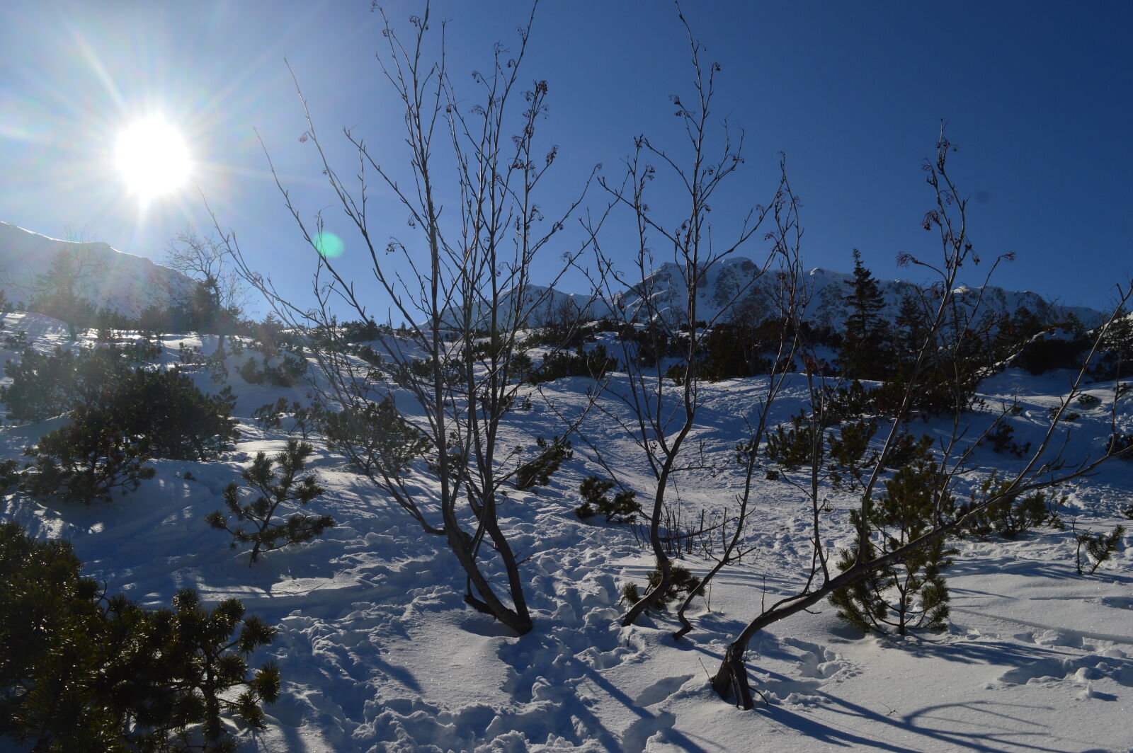 Nikon D3200 sample photo. Mountain, snow, sun photography