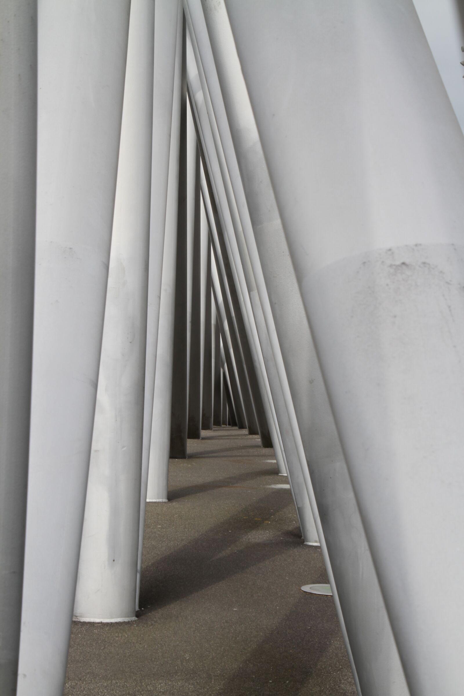 Canon EOS 7D sample photo. Symmetry, symmetries, geometry photography