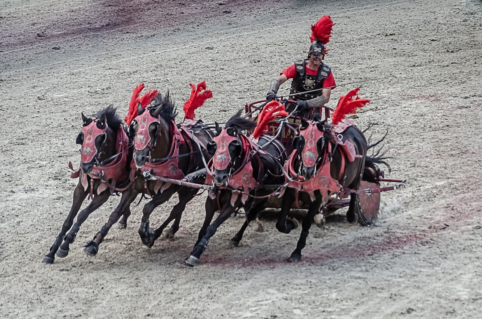 Nikon D7000 sample photo. Char, roman, horses photography