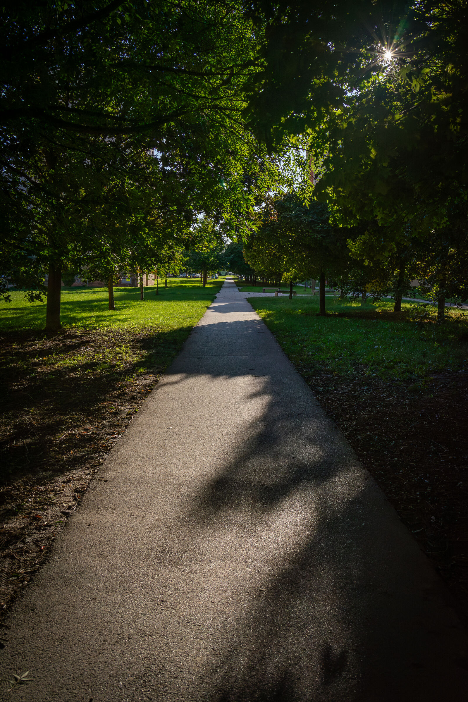 Sony a7 II sample photo