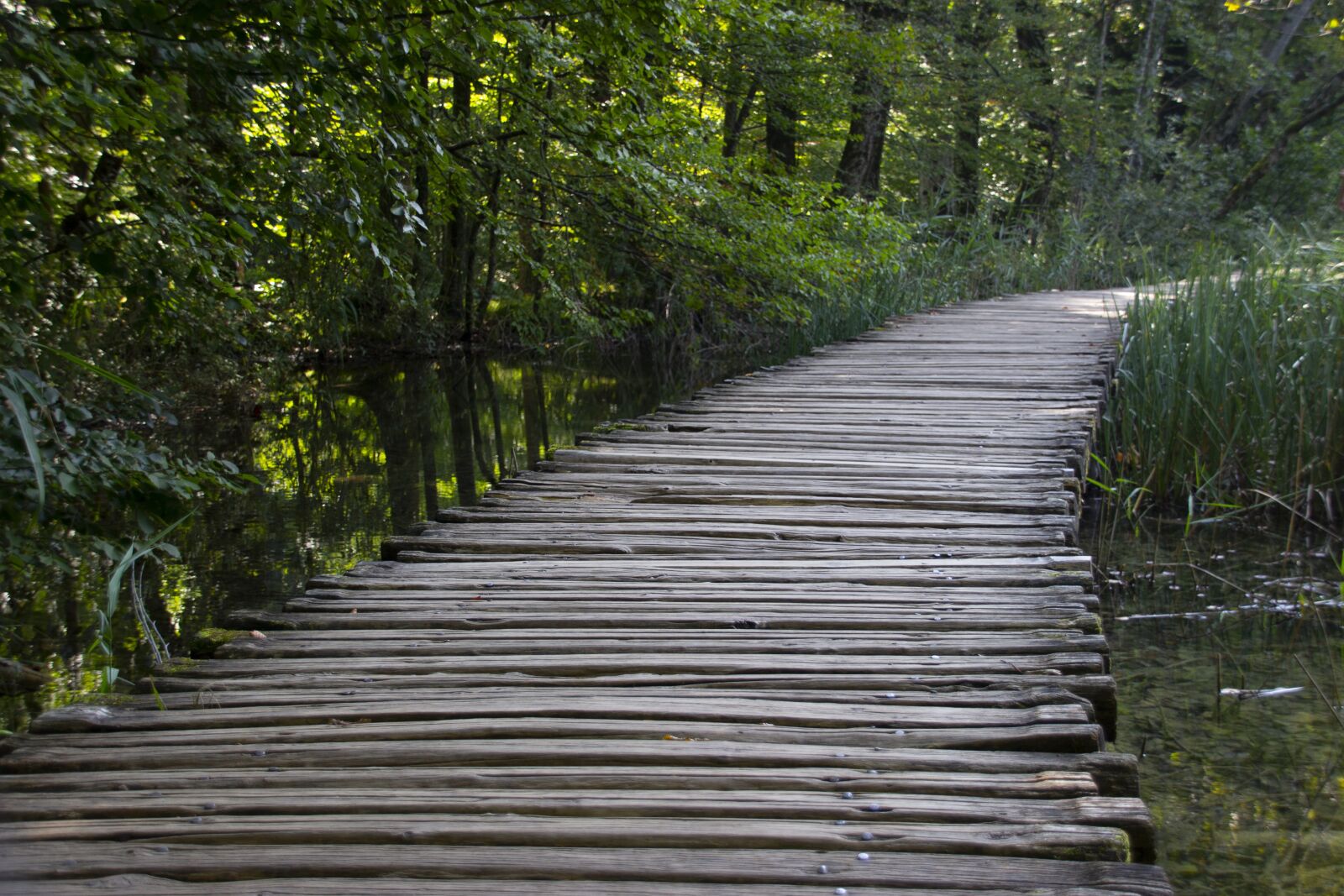Canon EOS 600D (Rebel EOS T3i / EOS Kiss X5) sample photo. Plitvice lakes, bridge, national photography