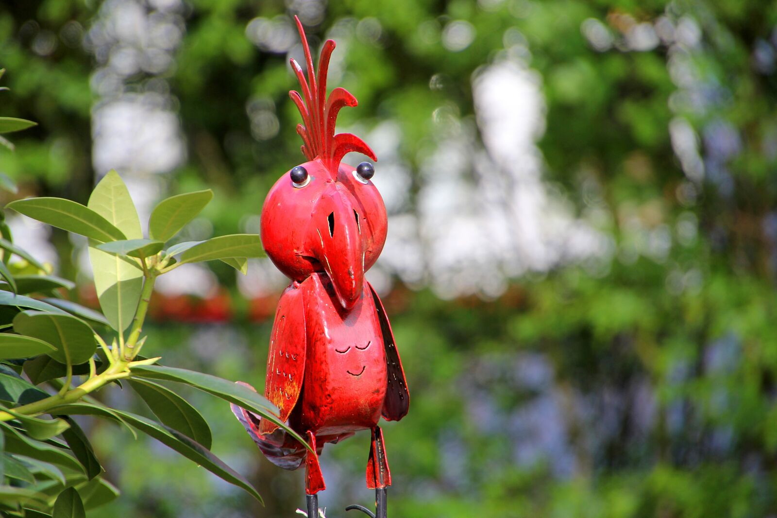 Canon EOS 60D sample photo. Parrot, bird, zoo photography