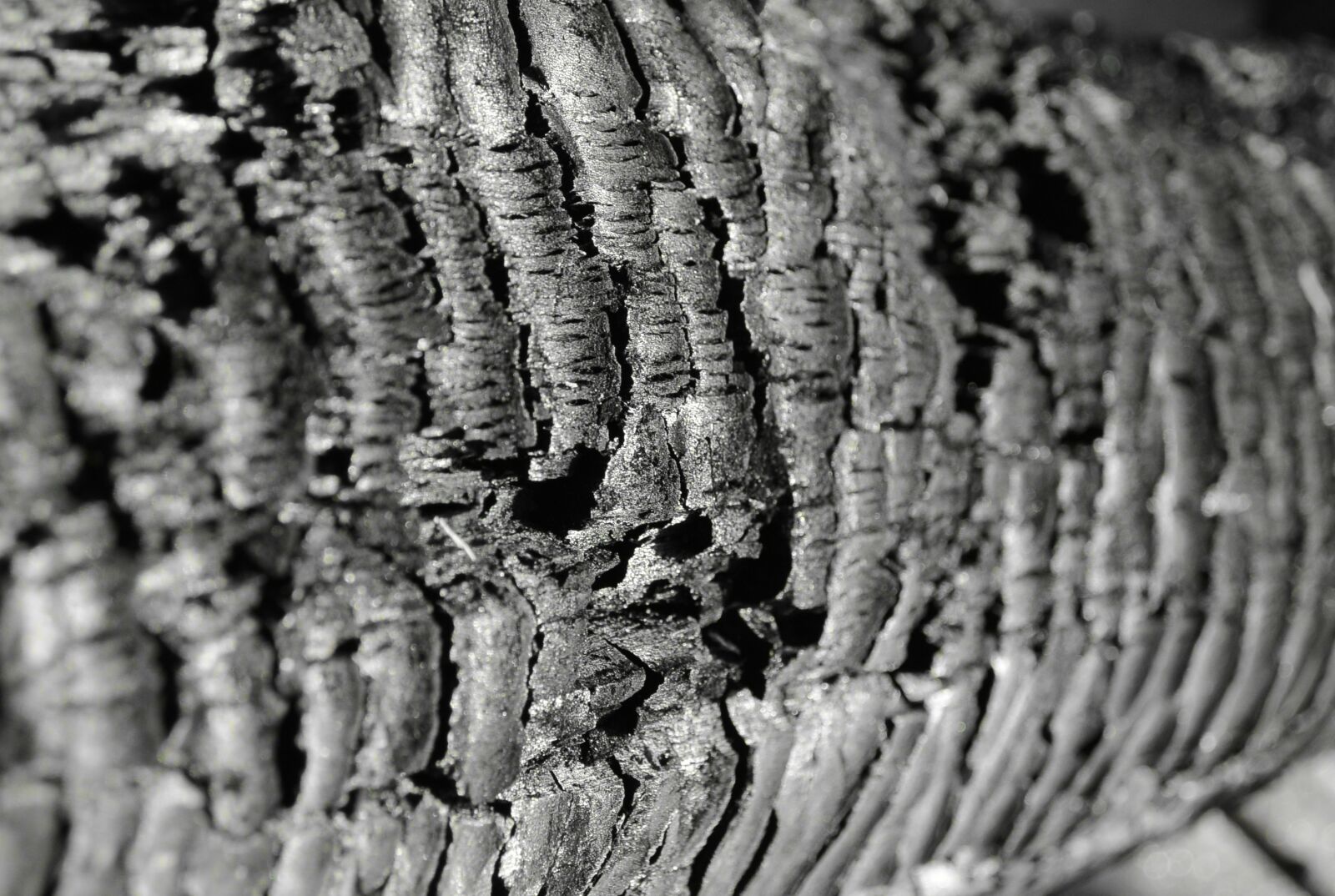 Nikon 1 S1 sample photo. Wood, carbon, structure photography