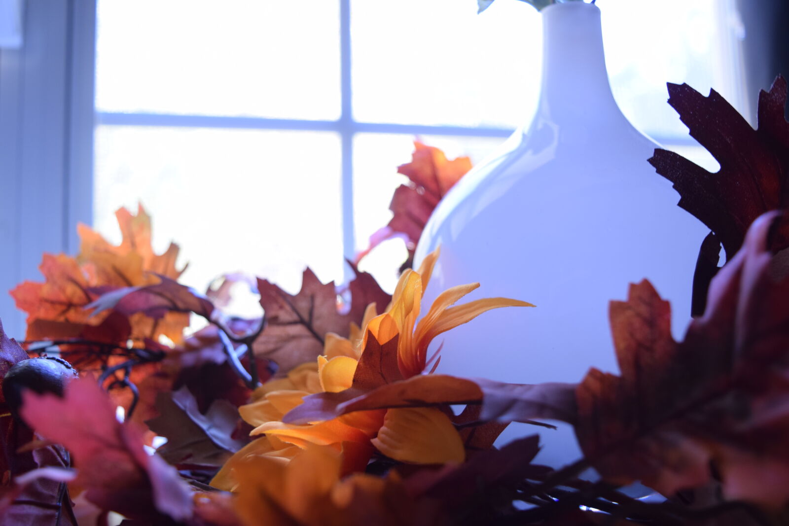 Nikon D3300 sample photo. Autumn, autumn, colors, fall photography