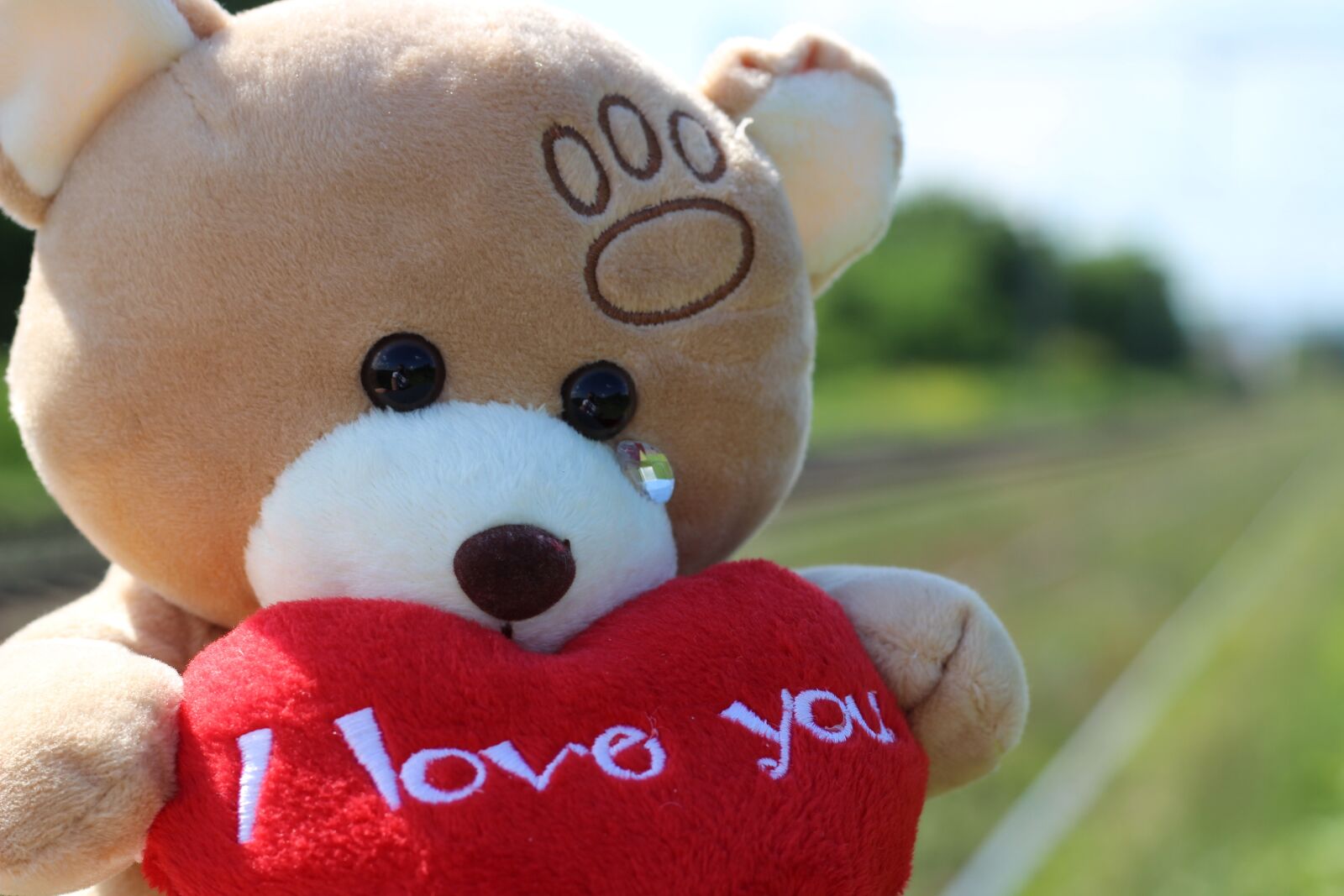 Canon EOS 600D (Rebel EOS T3i / EOS Kiss X5) + Canon EF 50mm F1.8 II sample photo. Stop children suicide, teddy photography