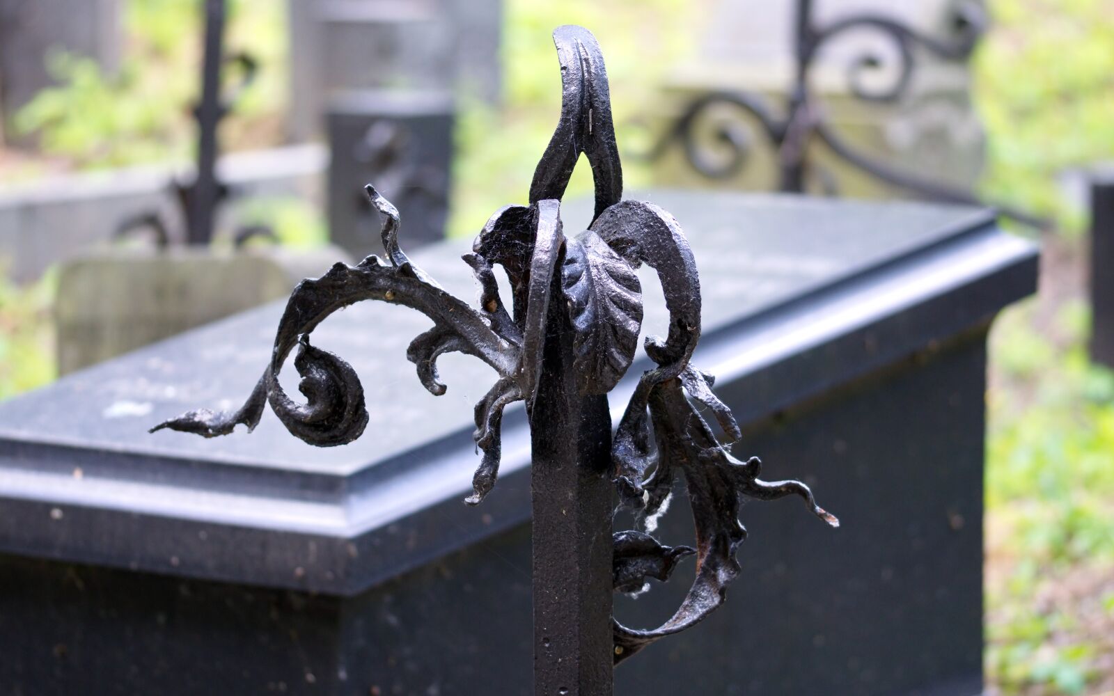 Nikon D5100 sample photo. Art, metal, leaves photography