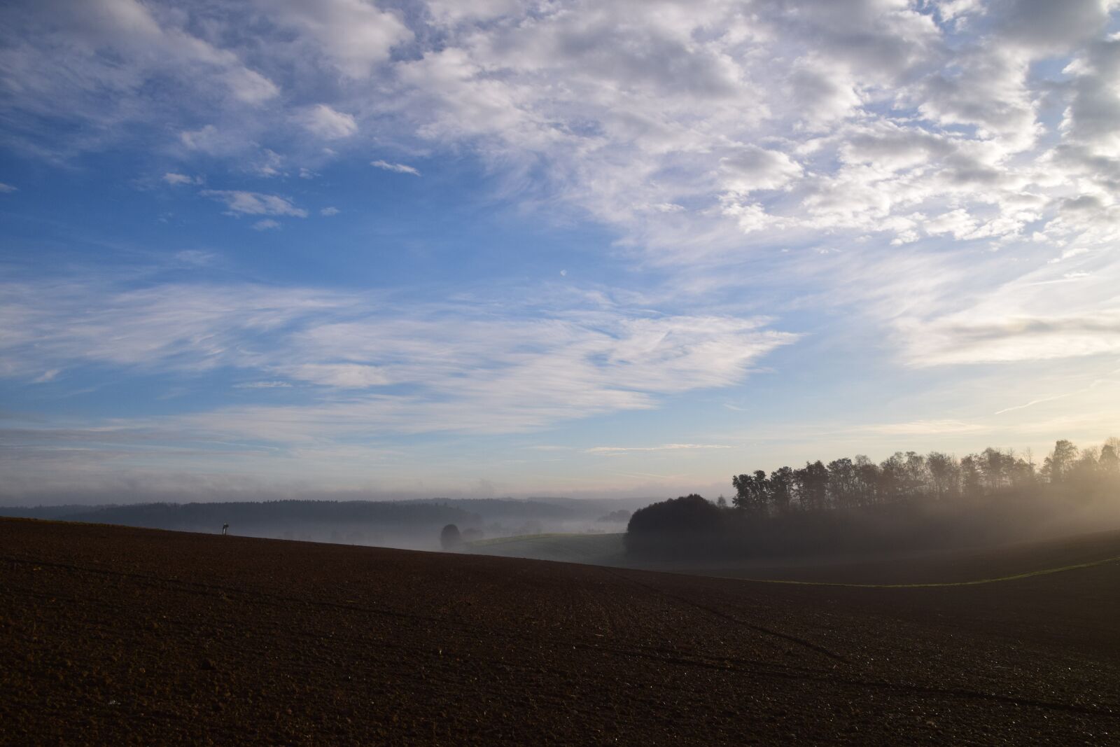 Nikon D3300 sample photo. Sunrise, morning, sun photography