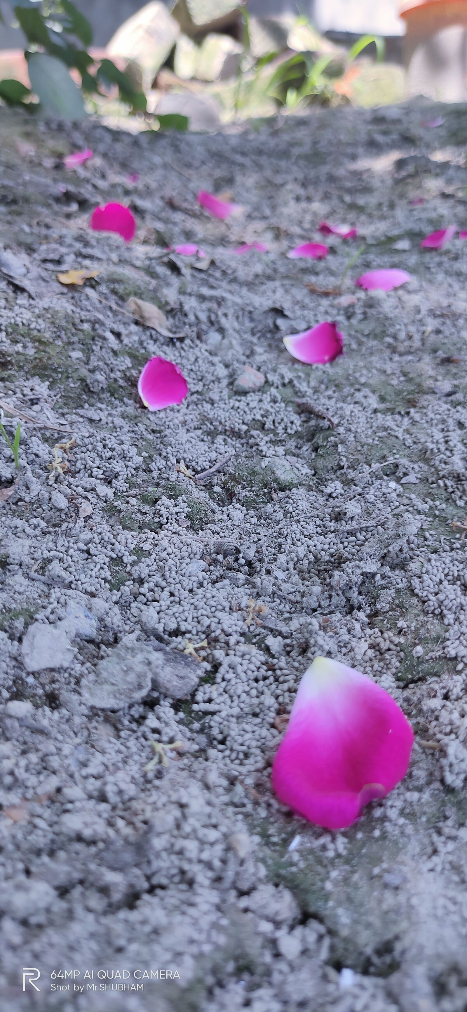 Realme XT sample photo. Ground, sea, soil photography