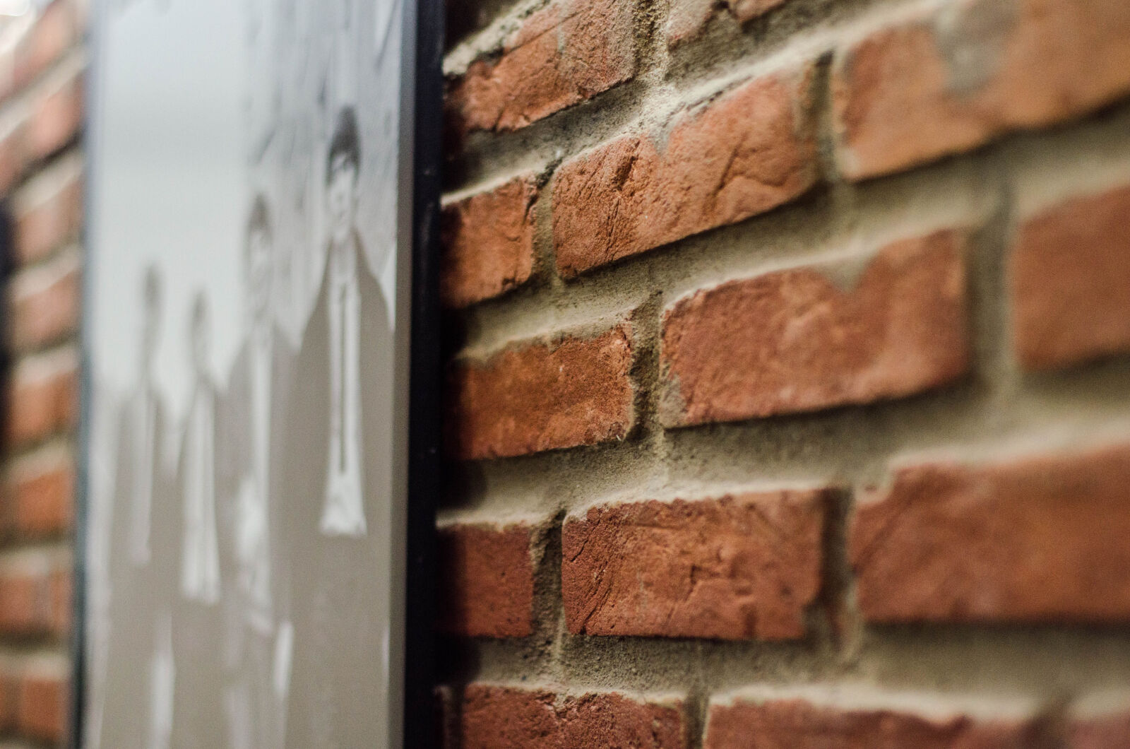 Nikon AF Nikkor 50mm F1.8D sample photo. Free, wallpaper photography