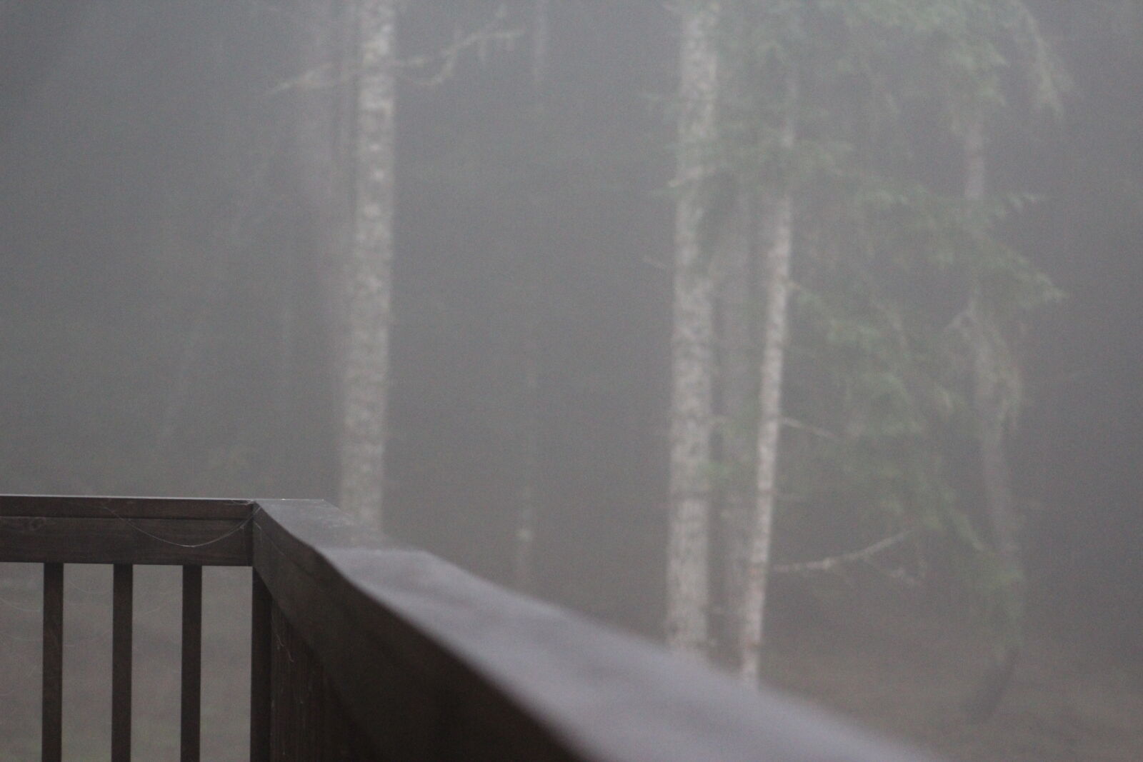 Canon EF 75-300mm f/4-5.6 sample photo. Deck, fog, photo photography