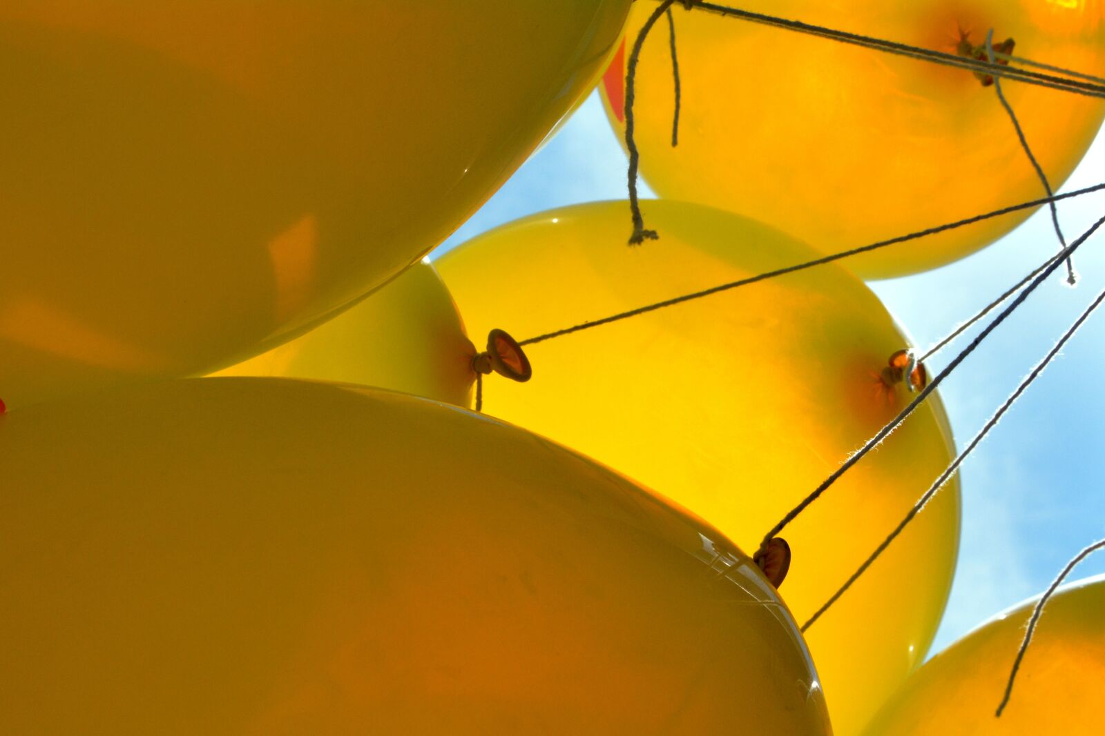 Nikon D5200 sample photo. Yellow balloons, up high photography