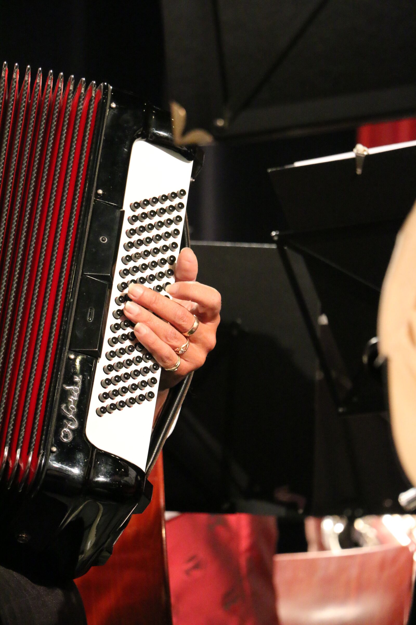 Canon EOS 70D sample photo. Musical instrument, orchestra, music photography
