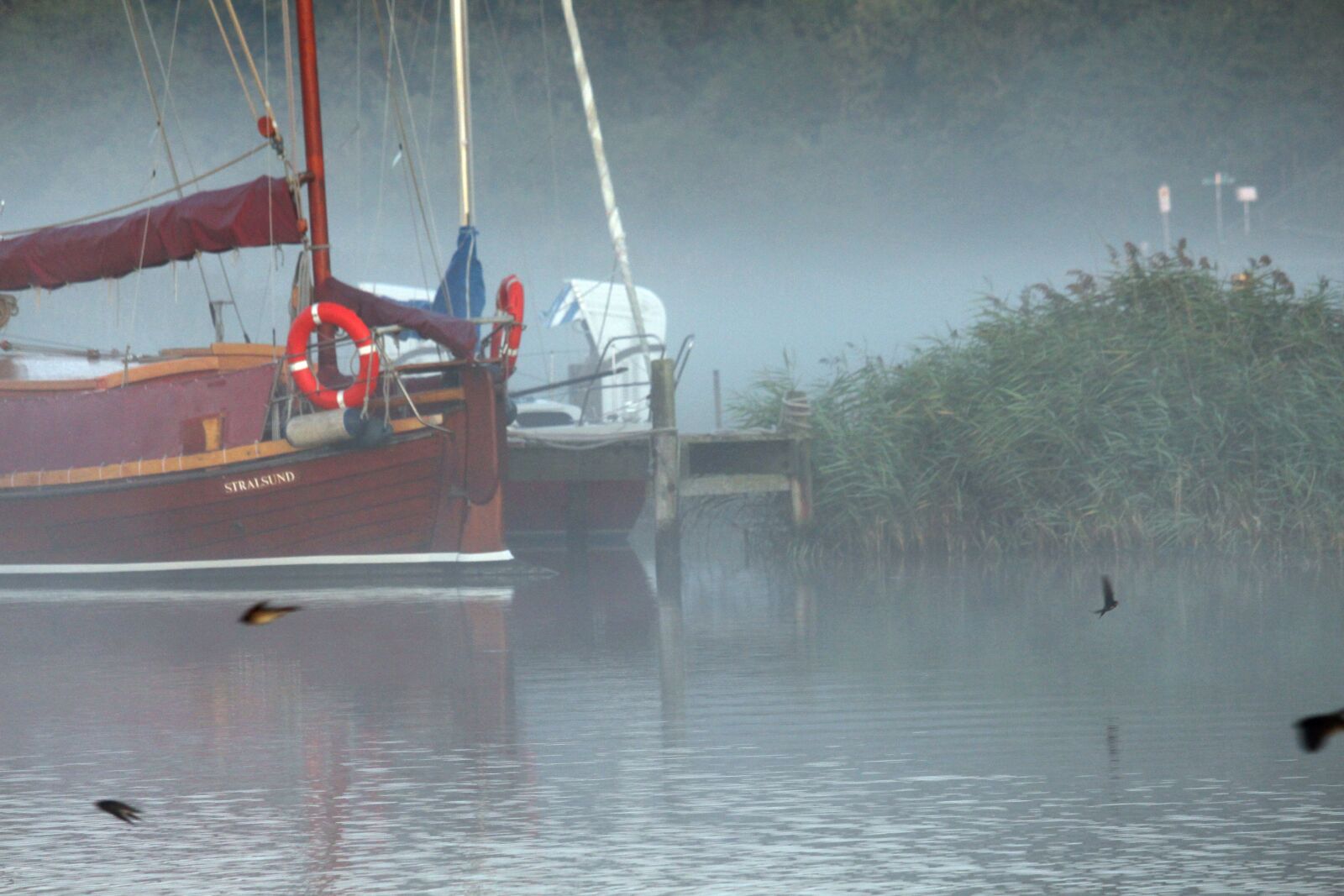Canon EF-S 55-250mm F4-5.6 IS STM sample photo. Morning mist, fog, port photography