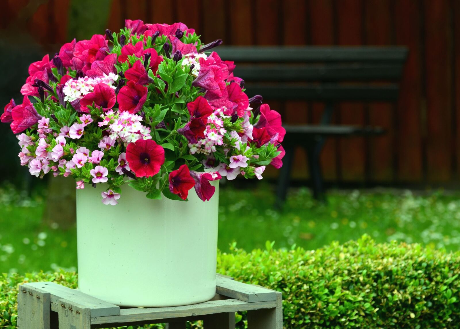 Nikon D5100 sample photo. Bucket, flower, grass, bloom photography