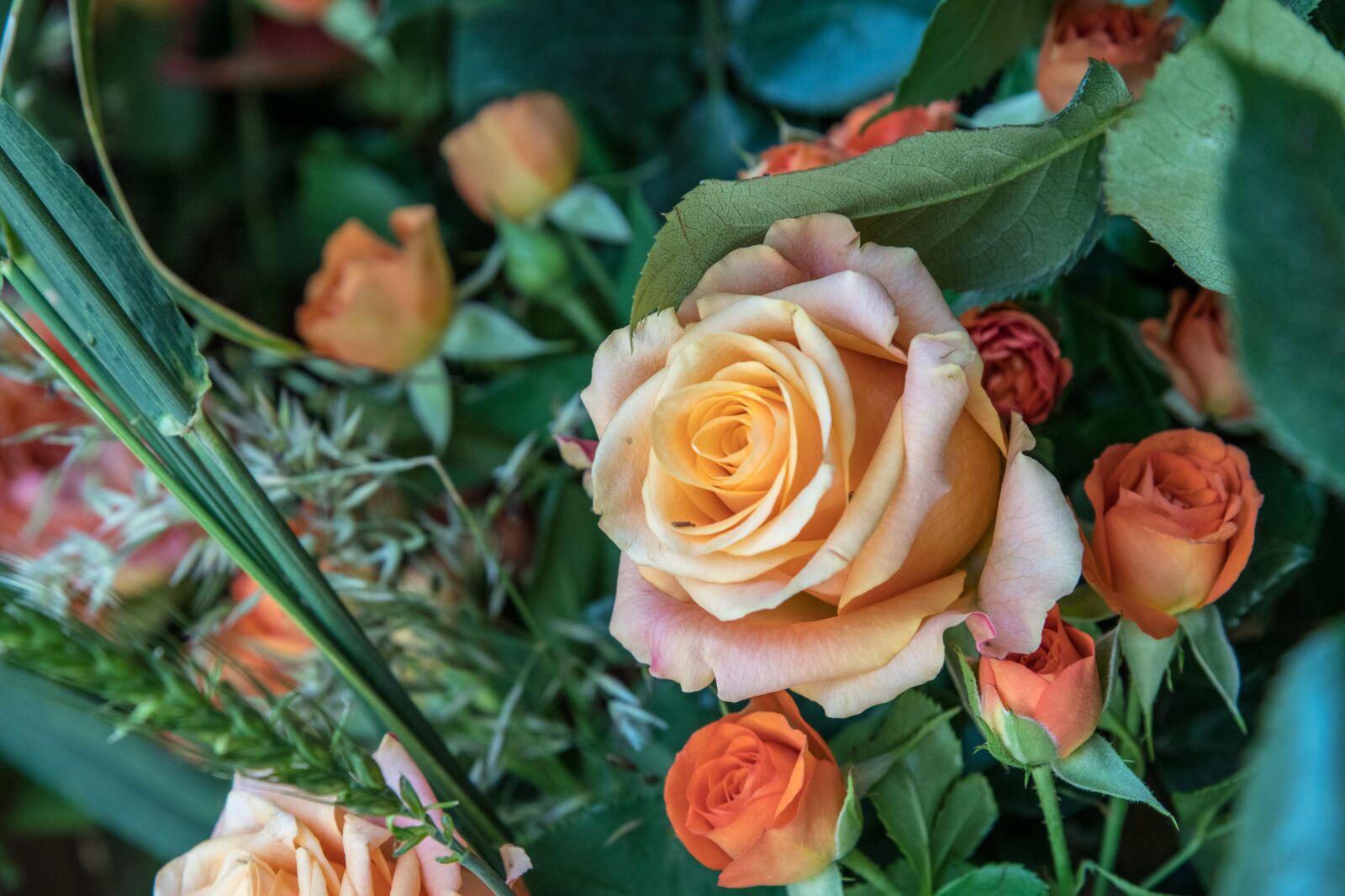 Nikon D850 sample photo. Rose, flower, bouquet photography