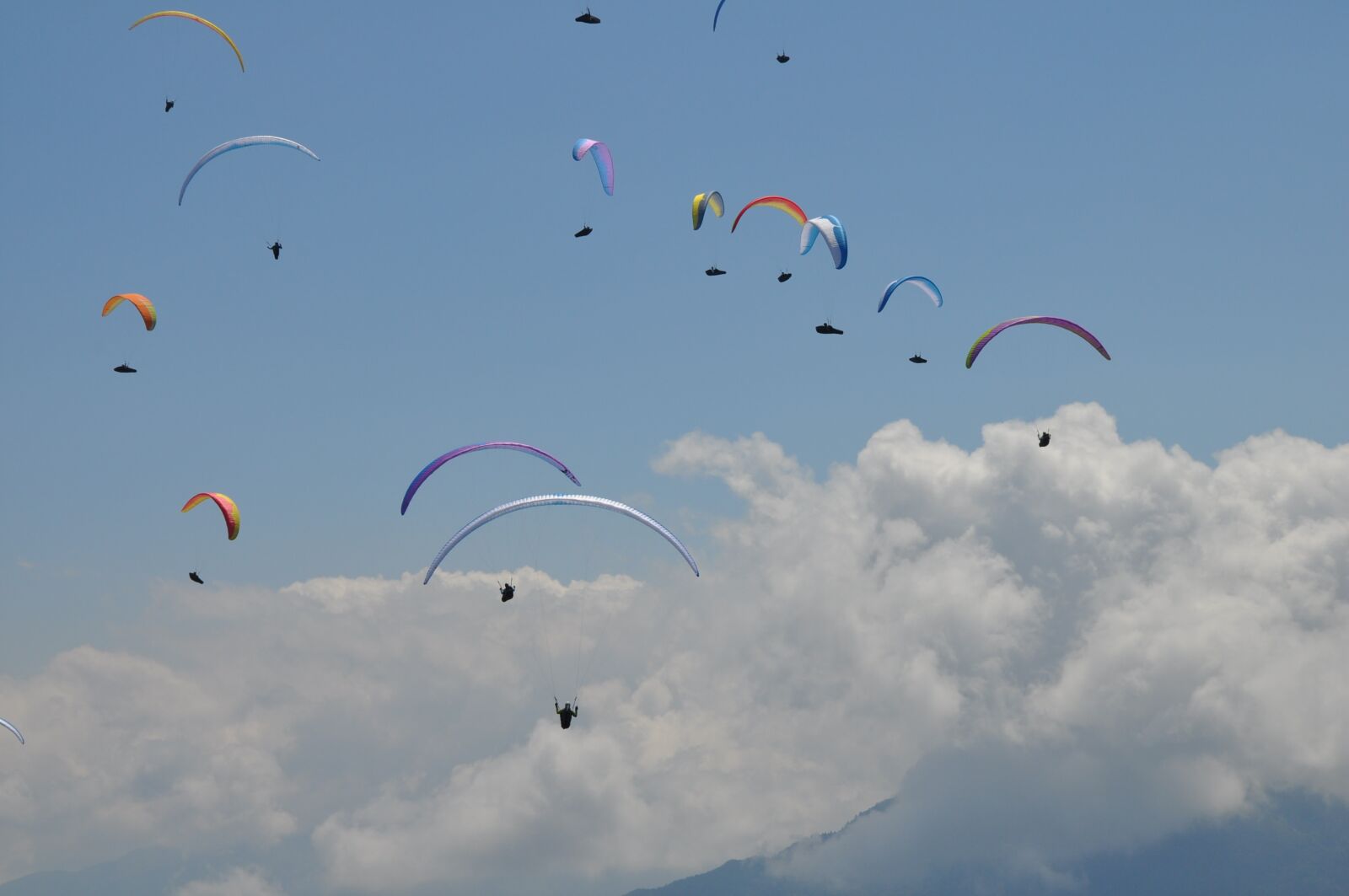 Nikon D5000 sample photo. Paragliding, competition, sport photography