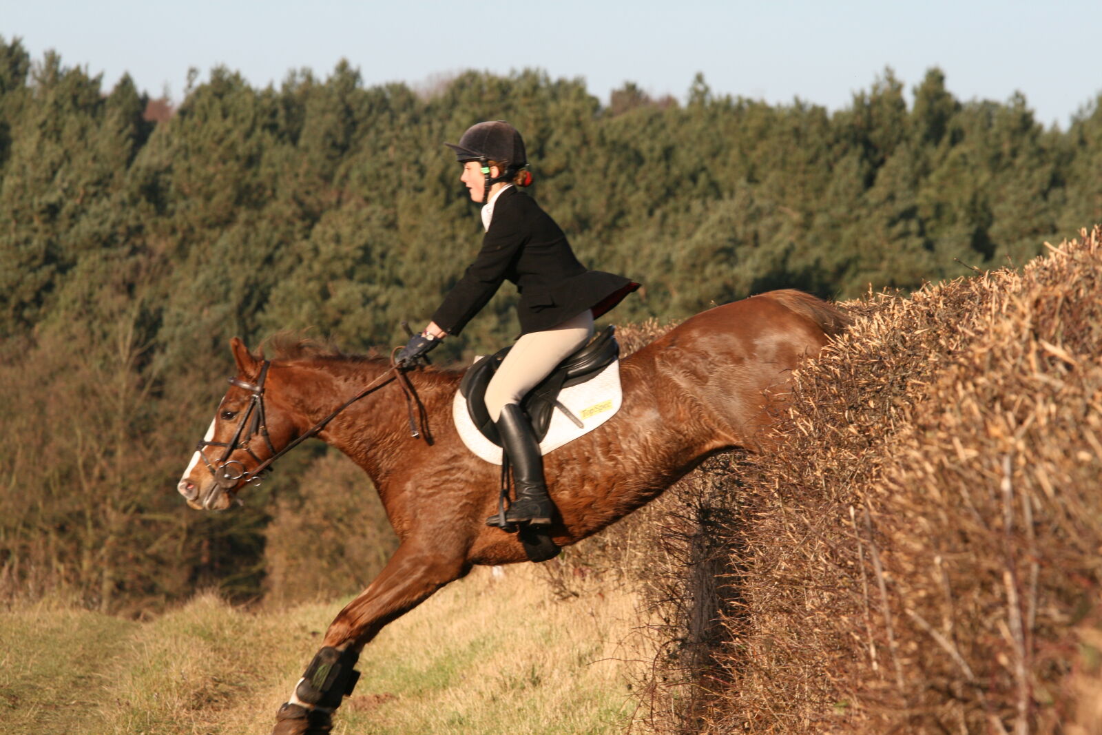 Canon EF 70-200mm F4L IS USM sample photo. Horse, horse, rider, horseback photography