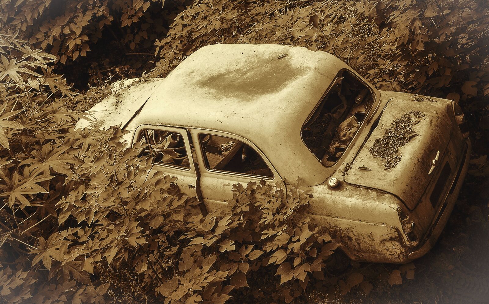 Nikon D3200 sample photo. Car, wreck, old photography