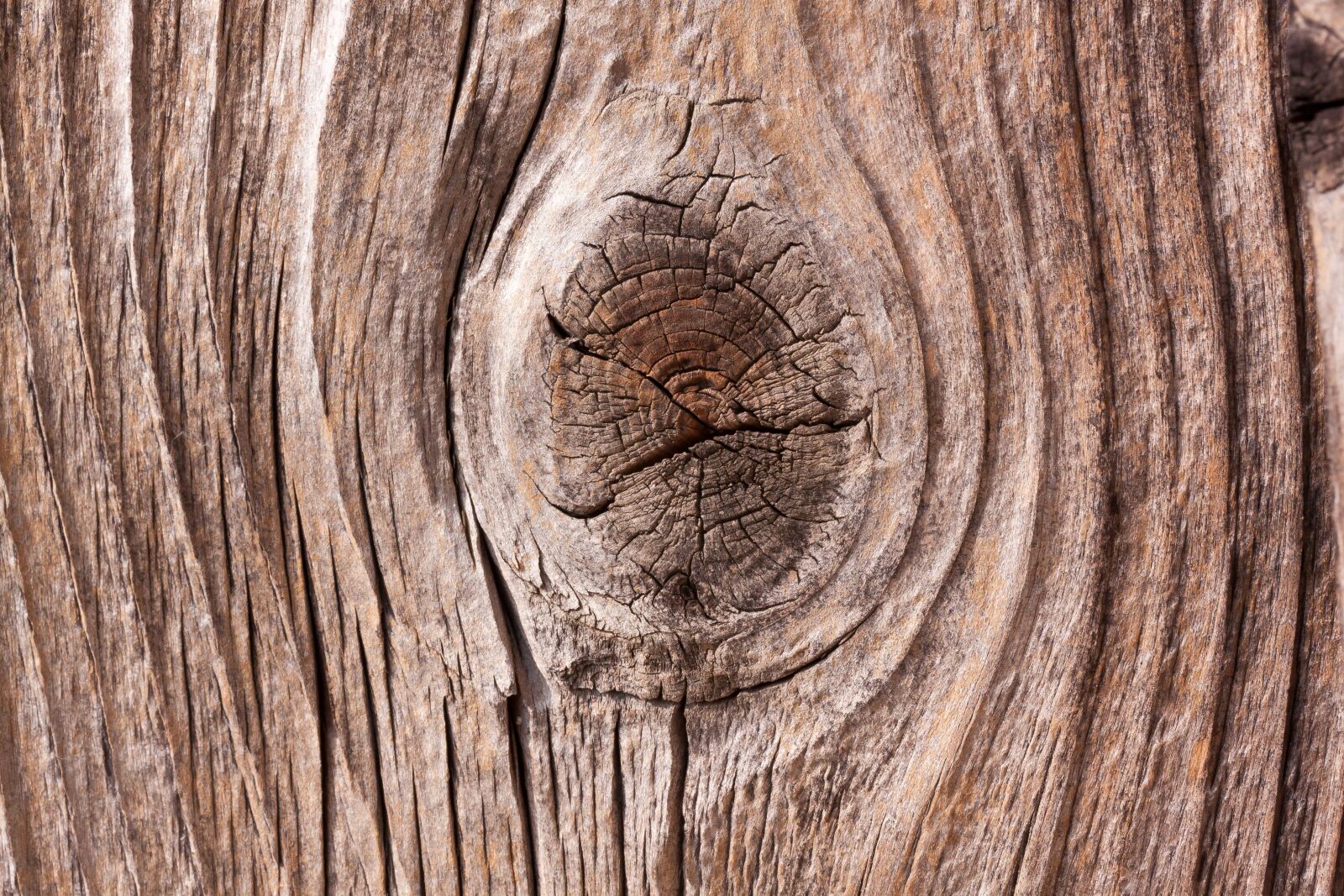 Canon EOS 50D sample photo. Wood, goal, barn photography