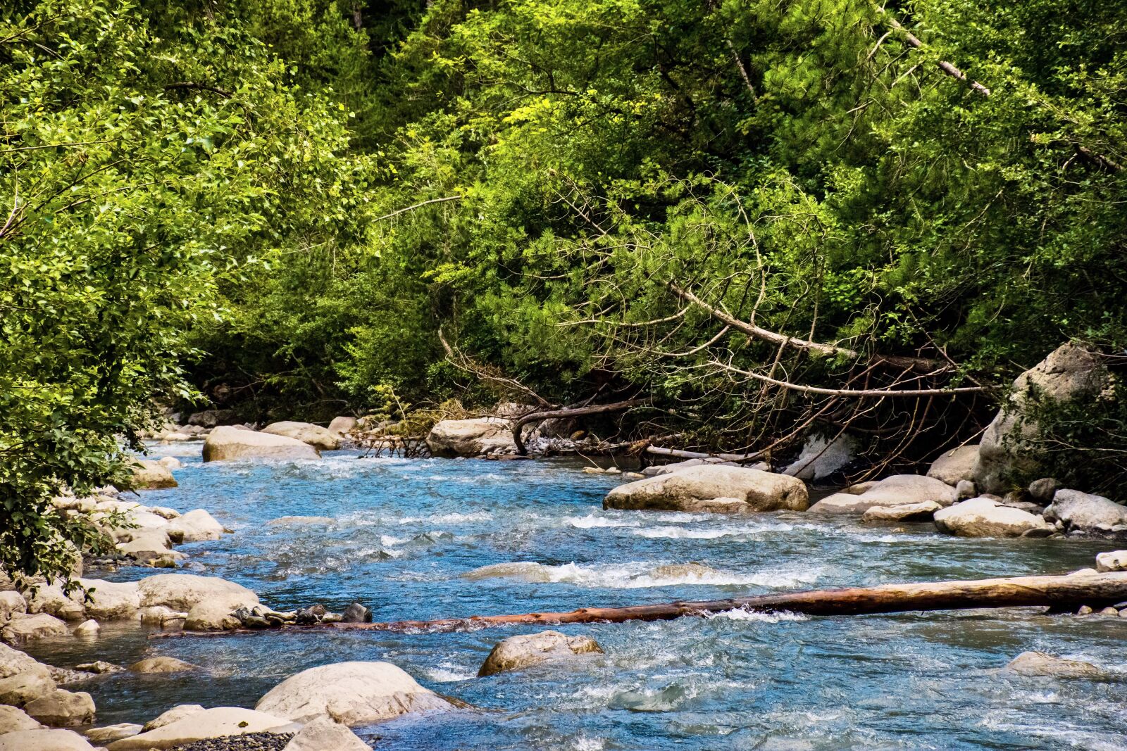 Nikon D5600 sample photo. Stream, alpine, river photography