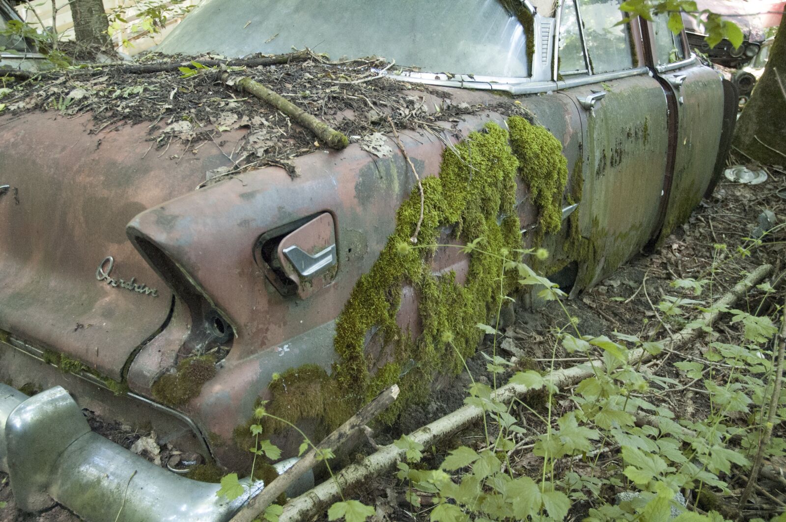 Nikon D70 sample photo. Auto, car cemetery, oldtimer photography