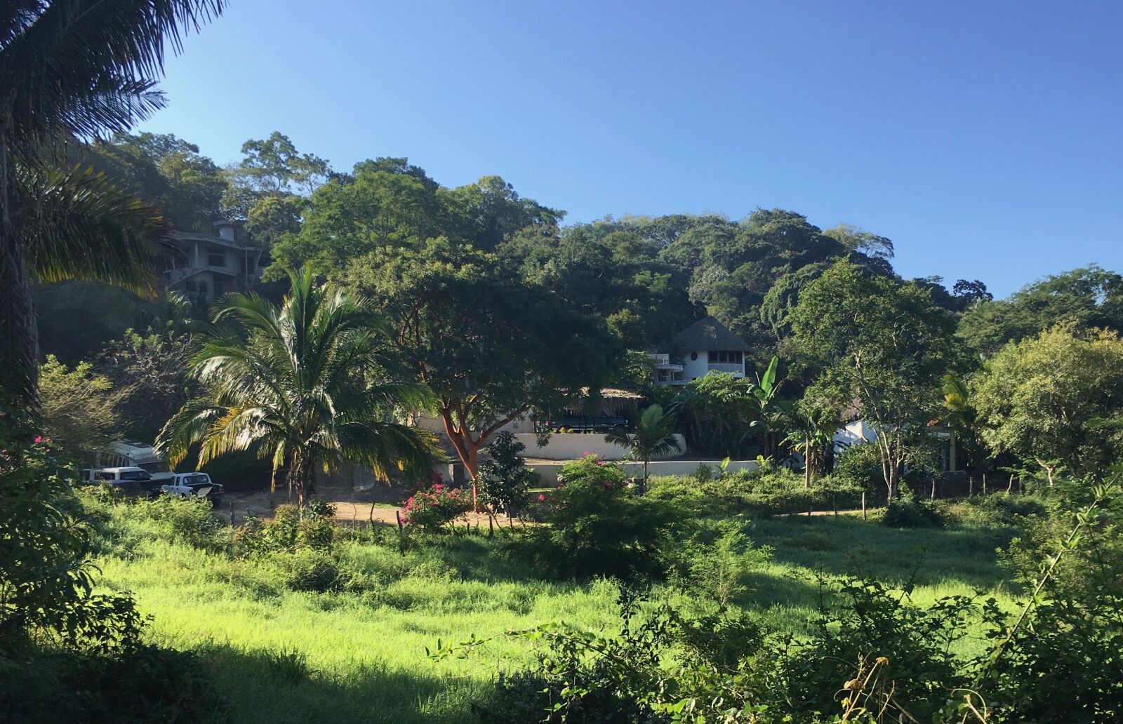 iPhone 6s Plus back camera 4.15mm f/2.2 sample photo. Tierraluz, tropical landscape, sayulita photography