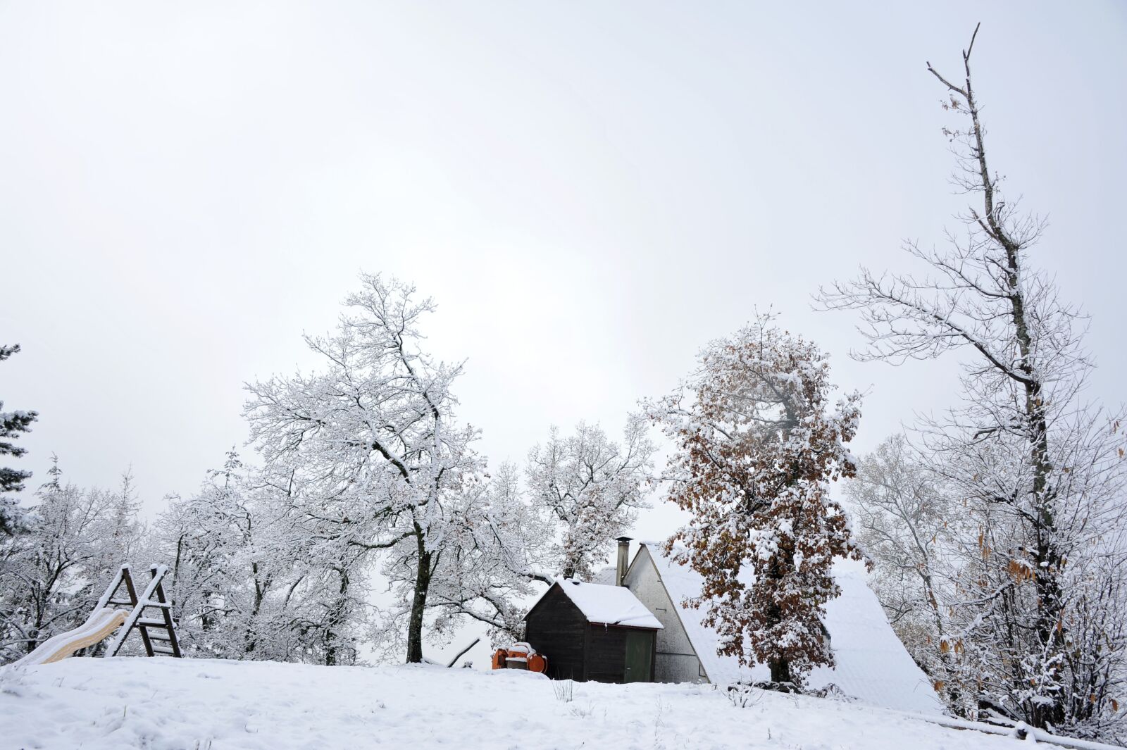 Nikon D700 sample photo. Winter, snow, cold photography