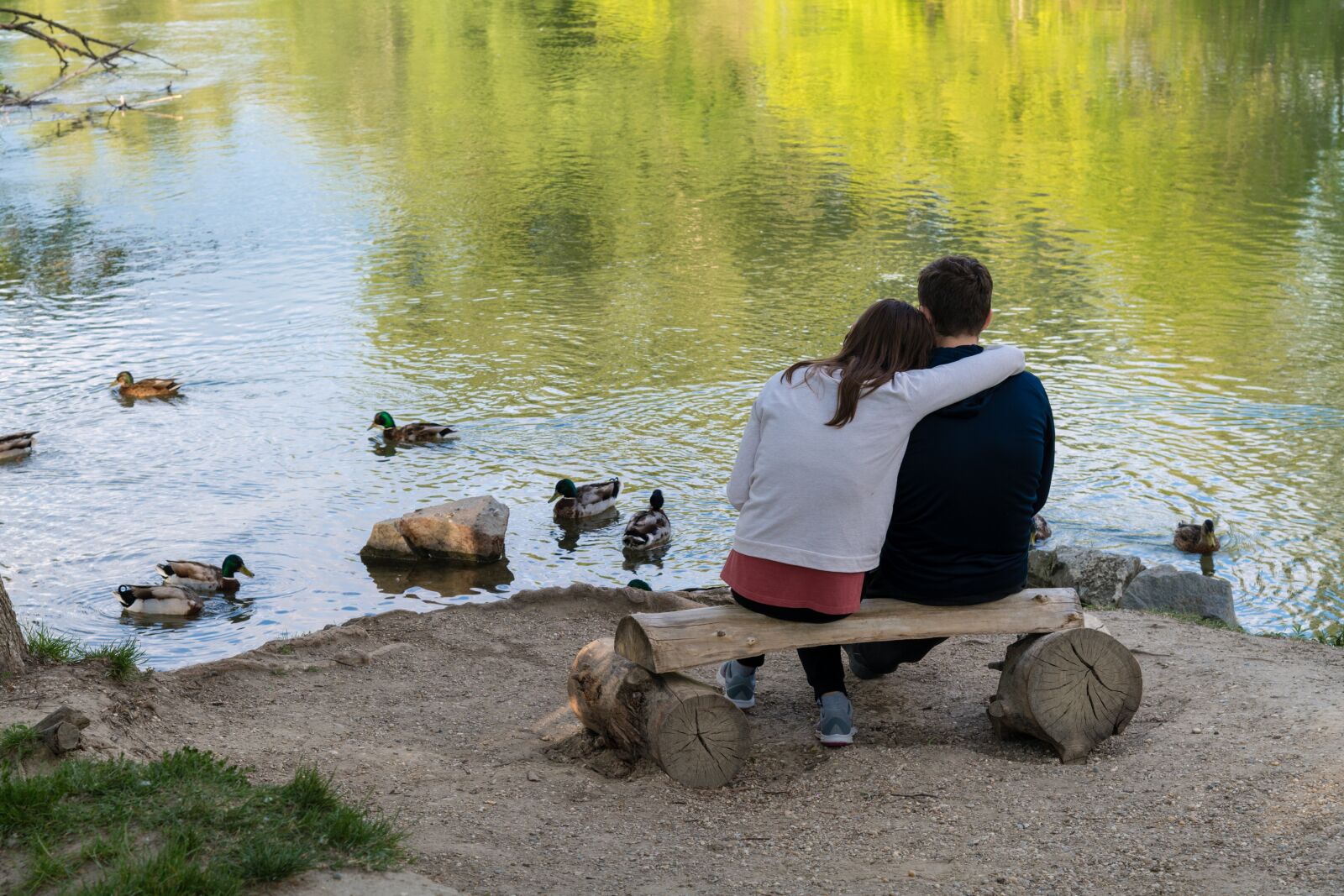 Nikon D850 sample photo. Ducks, bird, lake photography