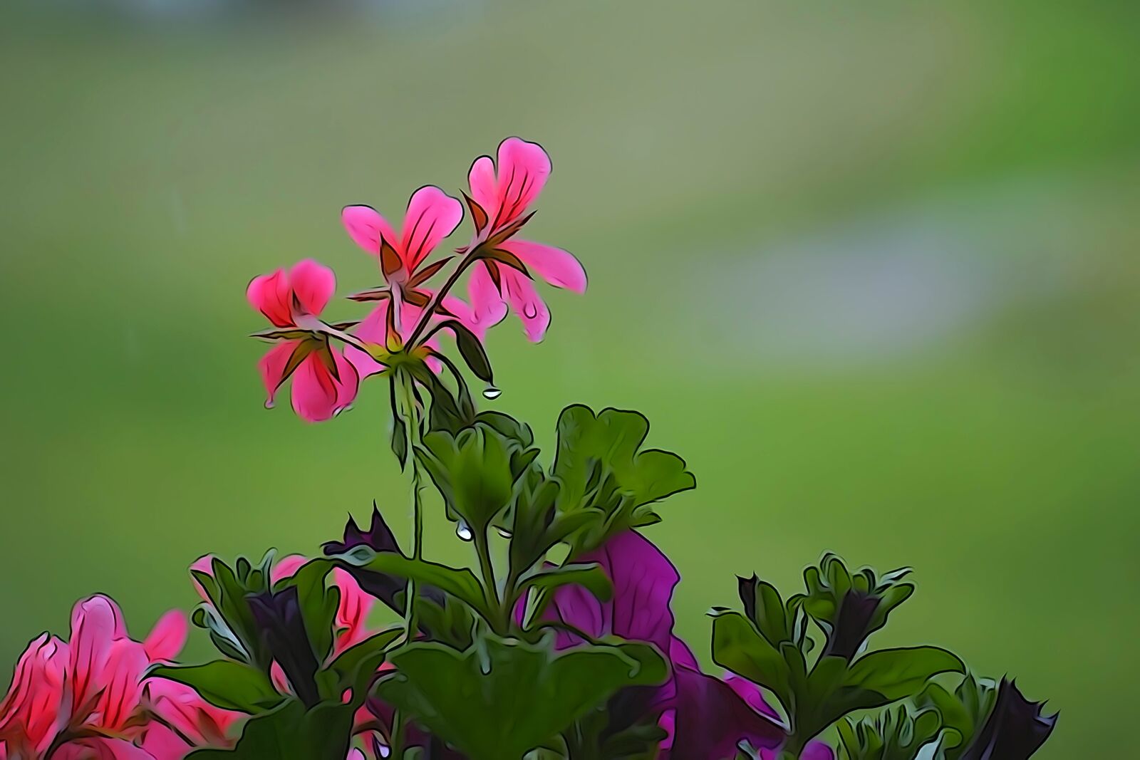 Sony E 55-210mm F4.5-6.3 OSS sample photo. Flower, plant, nature photography
