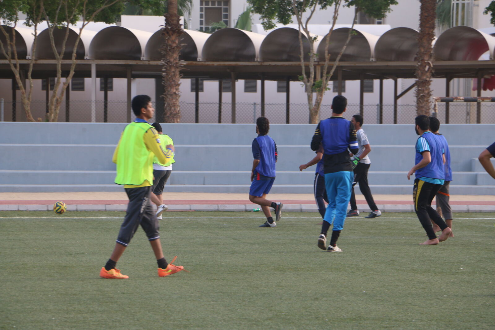 Canon EOS 70D sample photo