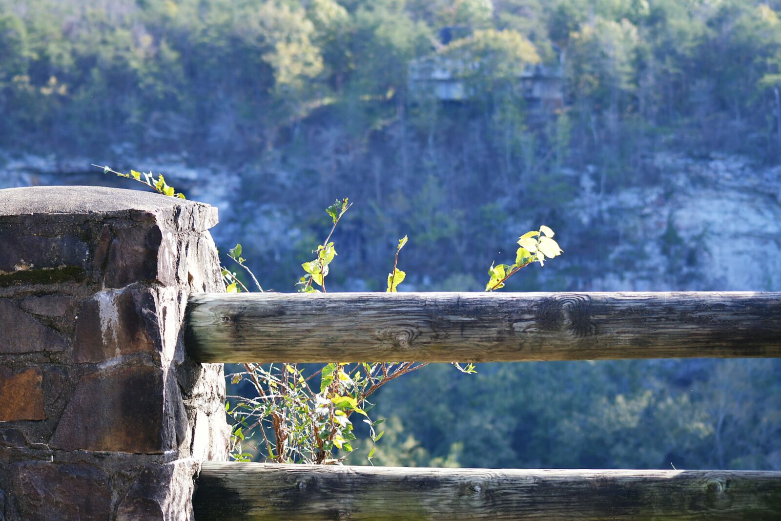 Nikon D7500 sample photo. Alabama, canon, view photography