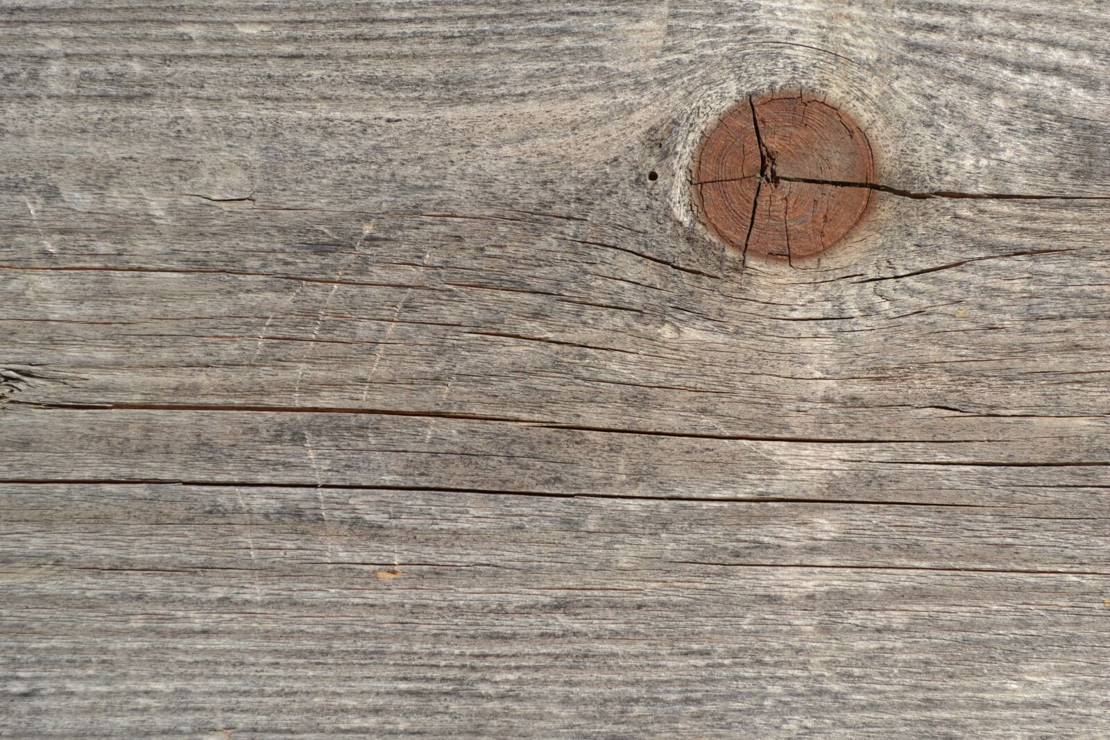 Nikon D3100 sample photo. Node, wood, plank photography