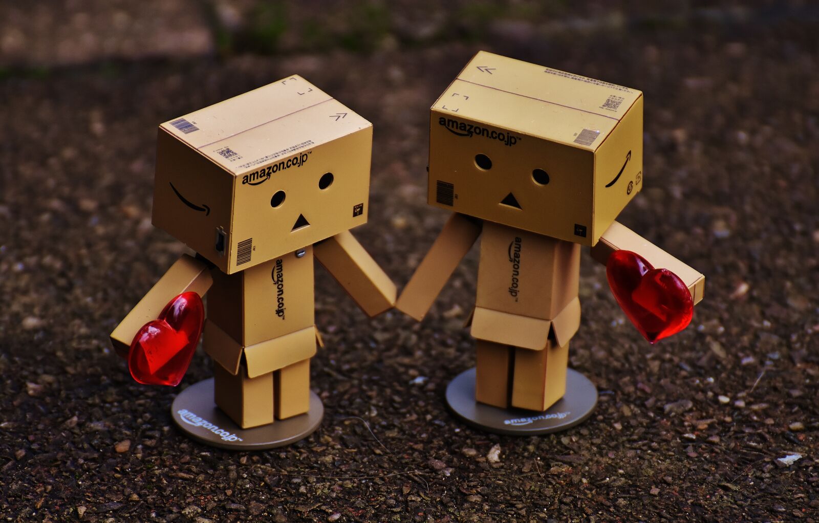 Nikon D7200 sample photo. Danbo, figure, together photography