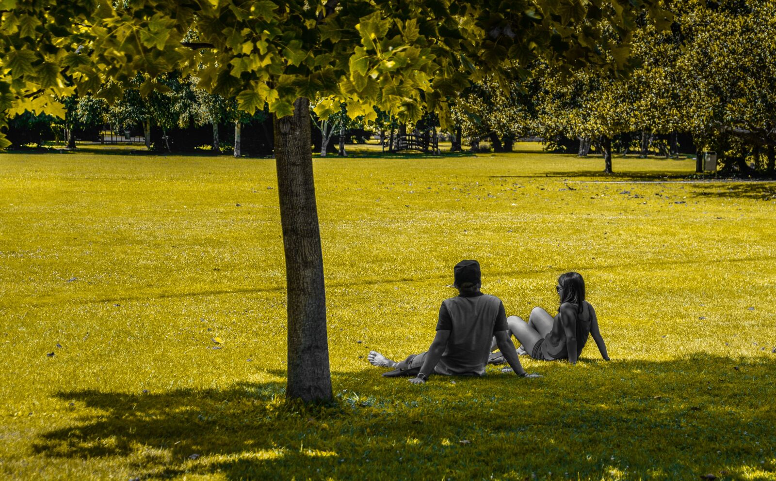 Nikon D610 sample photo. People, sitting, park photography