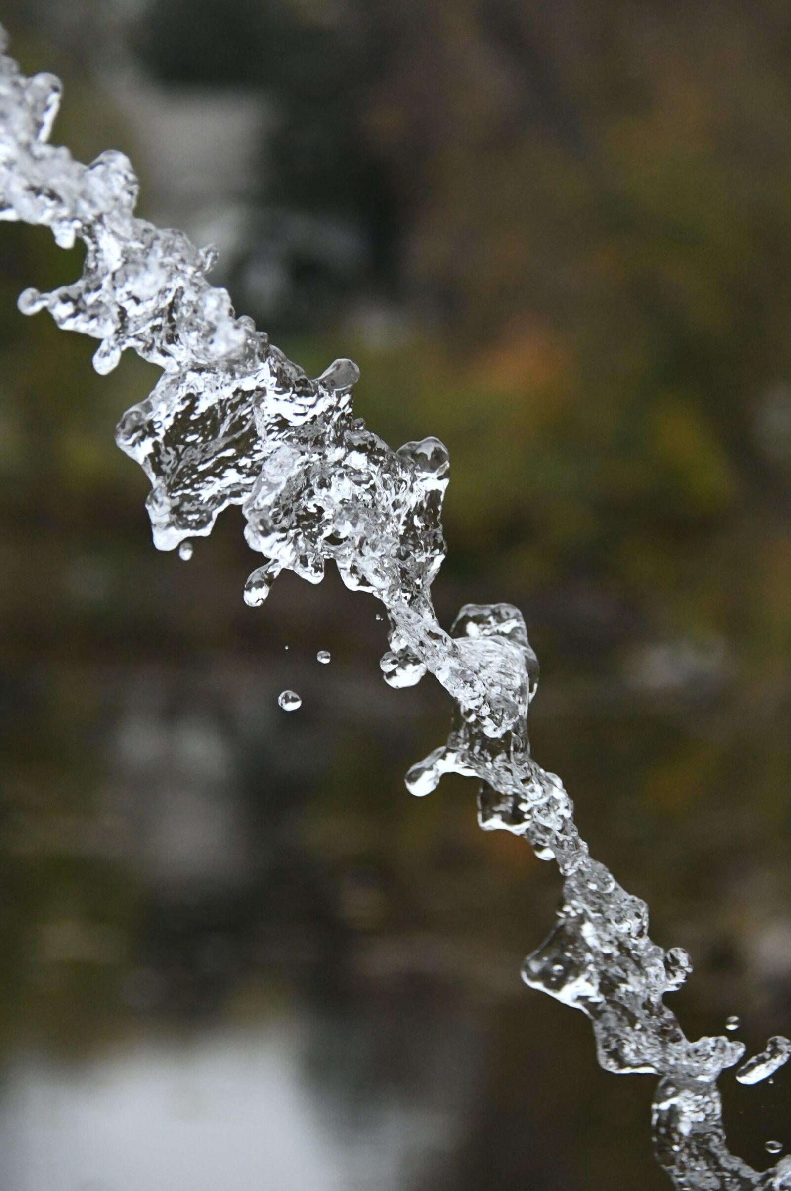 Nikon D3200 sample photo. Just add water, splash photography