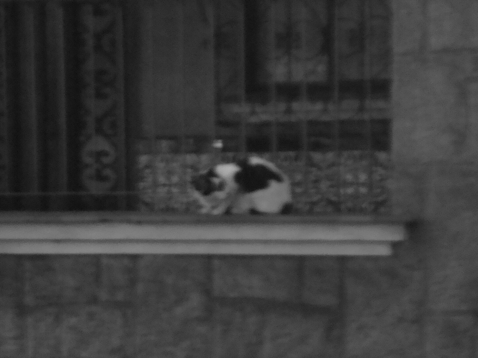 Sony Cyber-shot DSC-W110 sample photo