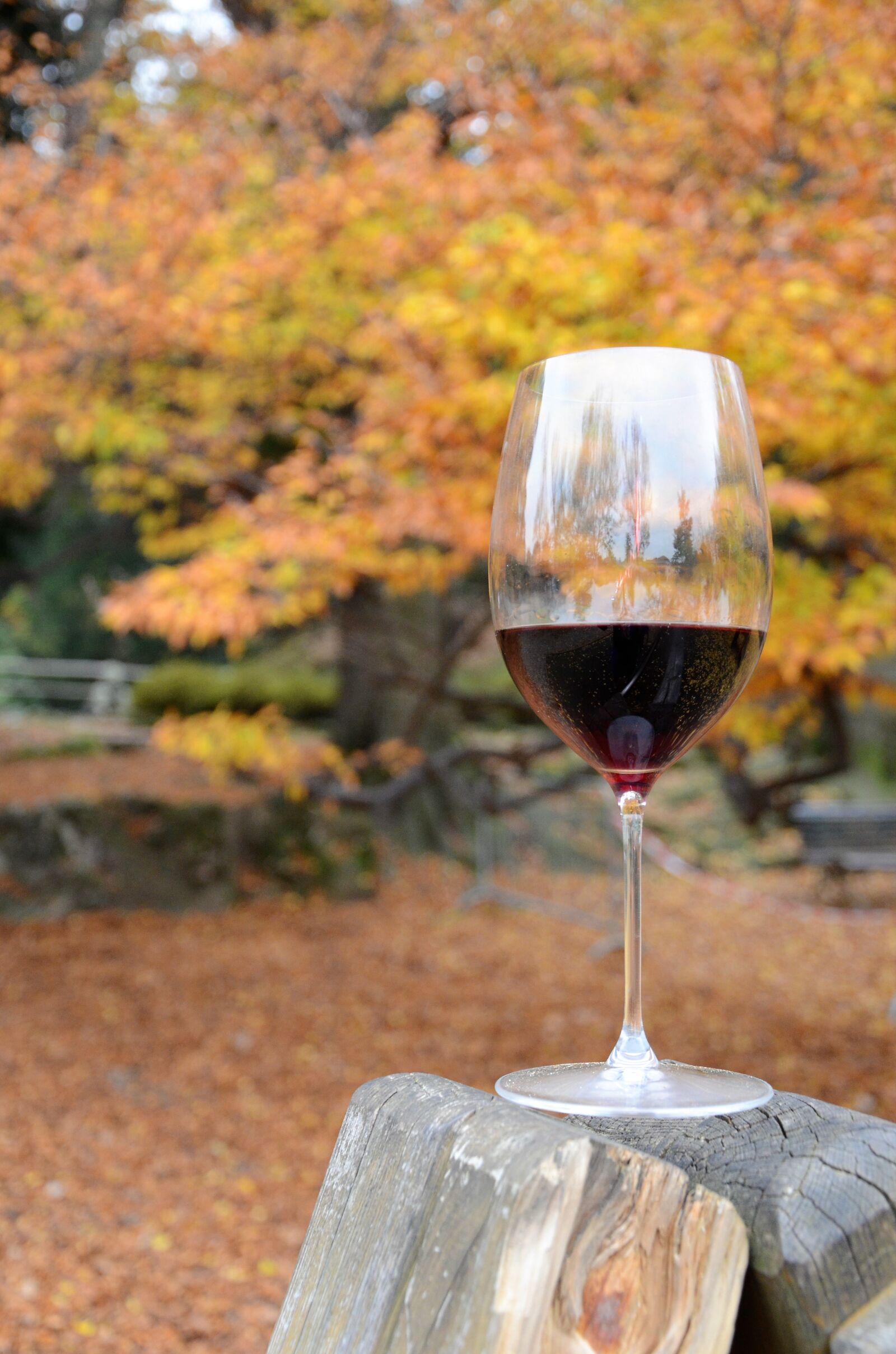 Nikon D5100 sample photo. Wine, glass, red wine photography