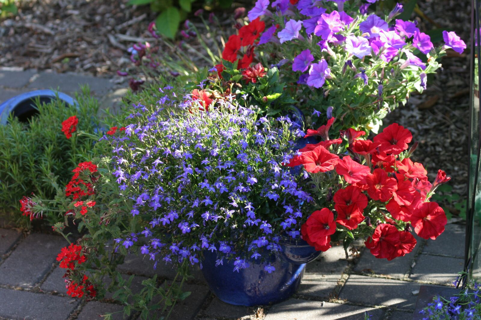 Canon EOS 20D sample photo. Flowers, summer, plant photography