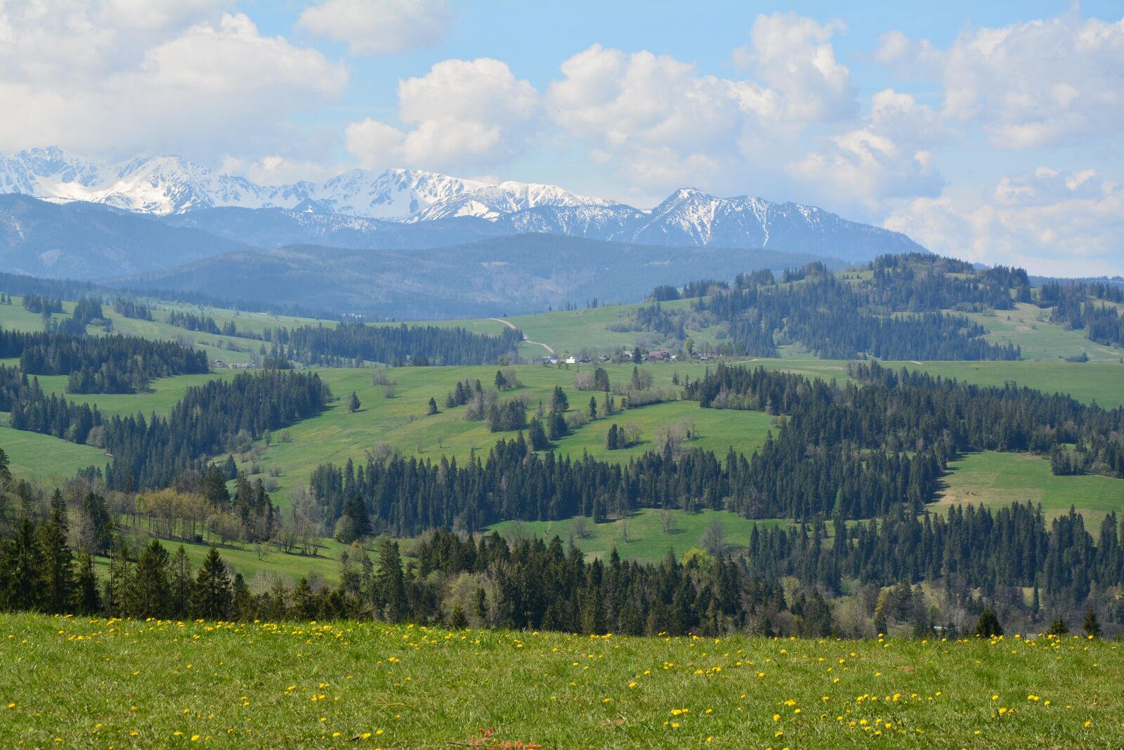 Nikon D7100 sample photo. Panorama, forests, mountains photography