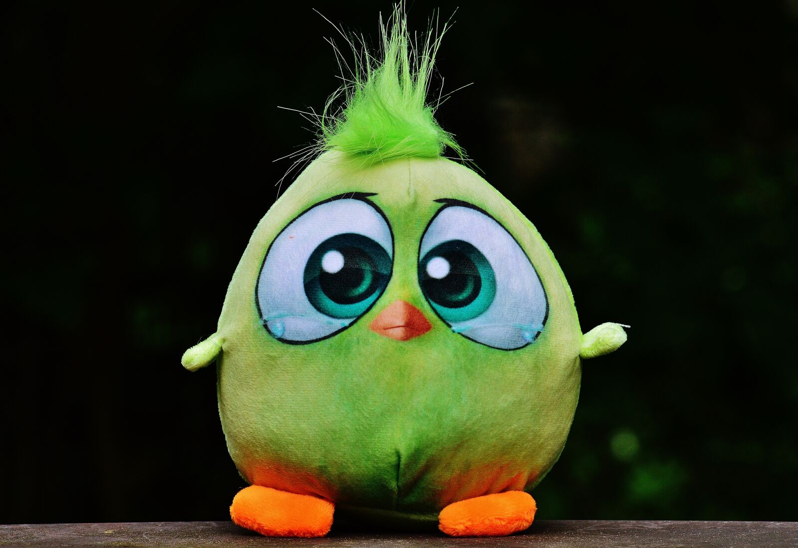 Nikon D3200 sample photo. Bird, birdie, plush photography