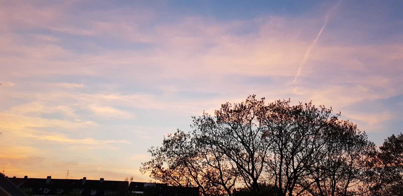 Samsung Galaxy S8 sample photo. Nature, tree, landscape photography