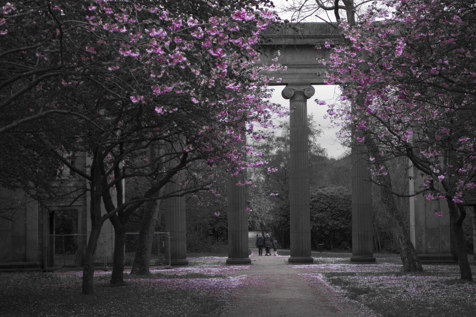 Canon EOS M sample photo. Heaton park, blossoms, trees photography